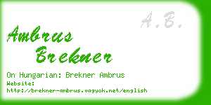ambrus brekner business card